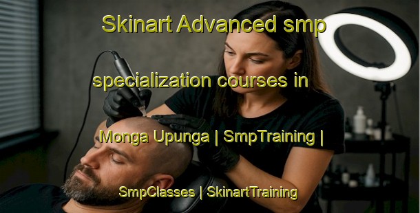 Skinart Advanced smp specialization courses in Monga Upunga | SmpTraining | SmpClasses | SkinartTraining-the Democratic Republic of the Congo